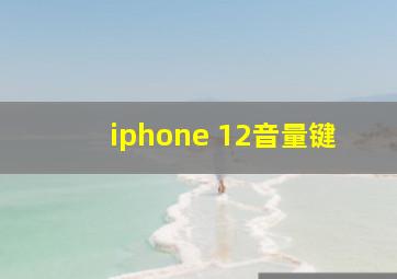 iphone 12音量键